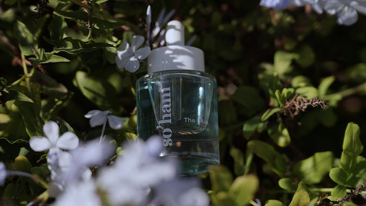 Blue Lotus & Blue Tansy: The Calming Botanicals Behind The Blue.